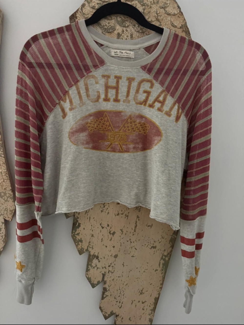 Free People Gray Crop Sweatshirt with Pink Striped Raglan Sleeves